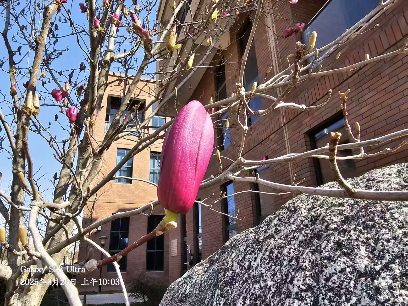 �L(ch��ng)�ſƼ��a(ch��n)�I(y��)�@