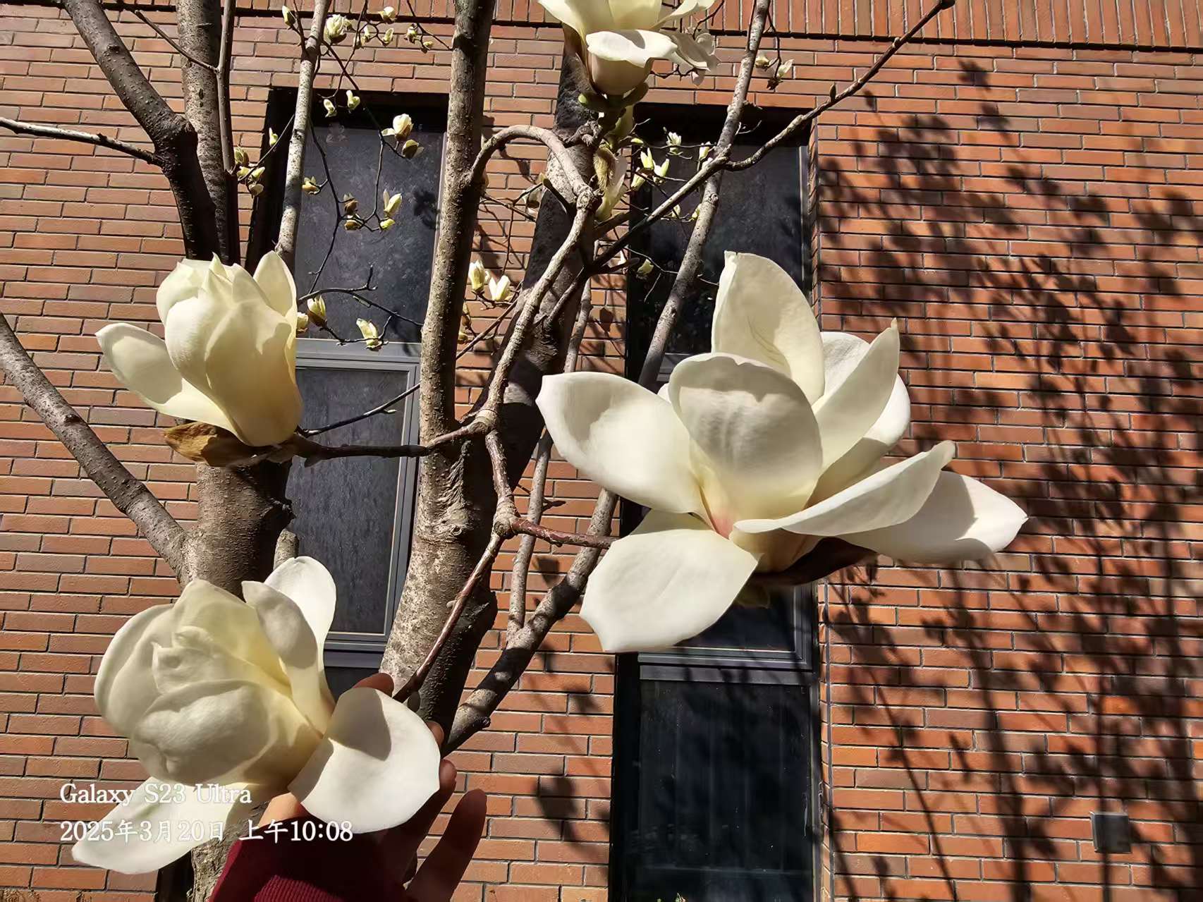 �L(ch��ng)�ſƼ��a(ch��n)�I(y��)�@